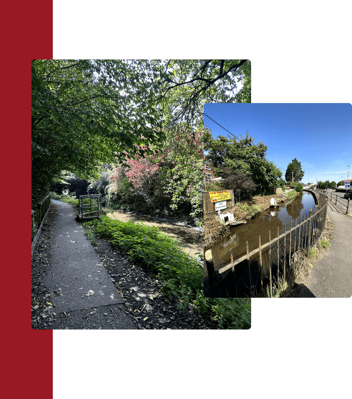 picture of the cullompton canal